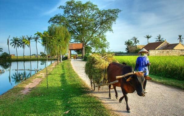 President Truong Tan Sang attends a UN Conference on new rural development - ảnh 1